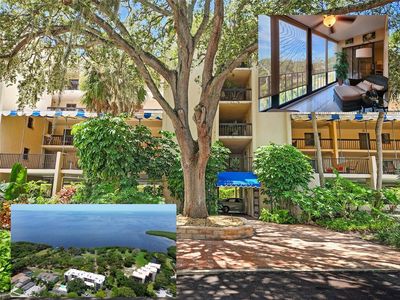 407 Tarpon Point #407, Tarpon Springs, FL, 34689