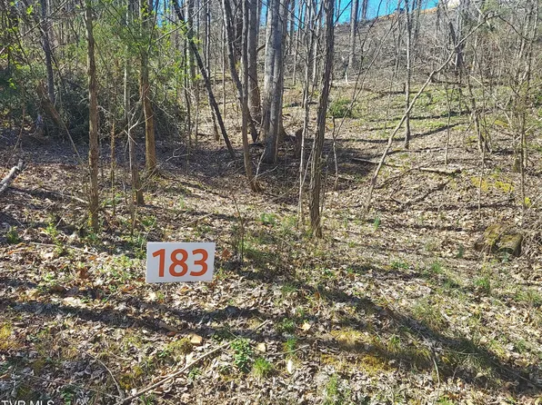 183 Ox Row, Unicoi, TN 37692