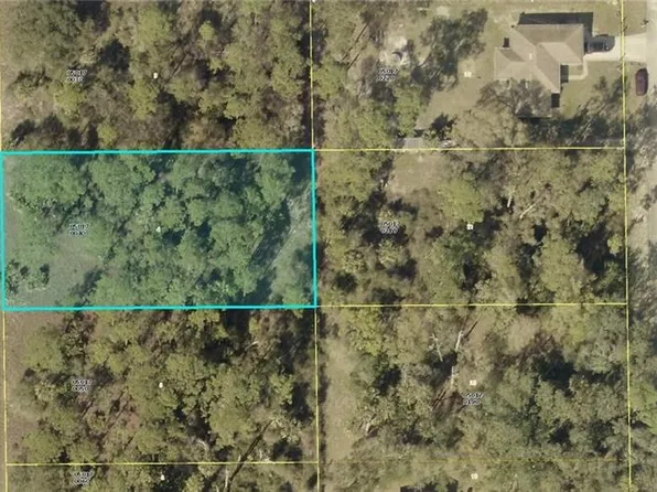 2116 Wells AVE, ALVA, FL 33920