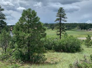 269 Dylan Dr, Pagosa Springs, CO 81147