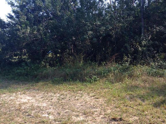 5th image of 16195 71st Ln N