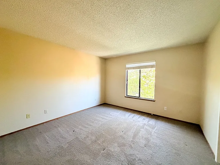 468 Park Place Dr — Photo 15