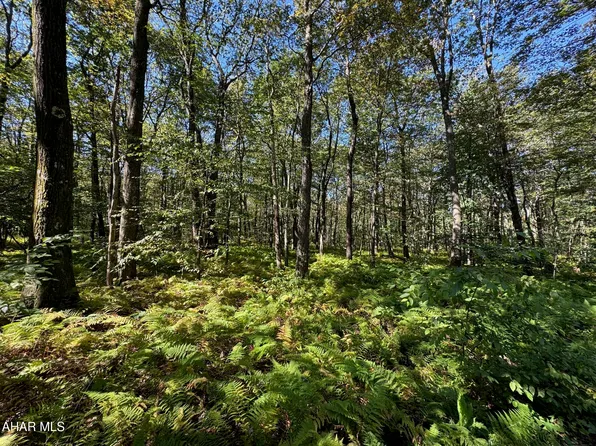 Grouse Ln, New Paris, PA 15554