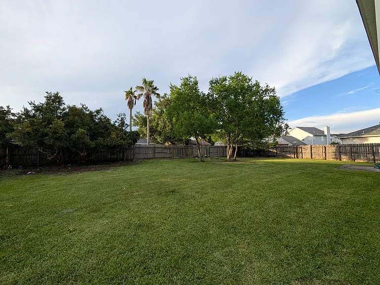 backyard from right side of house