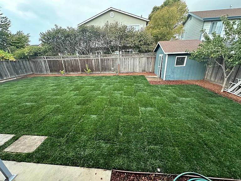 1241 Elmer St — Photo 22