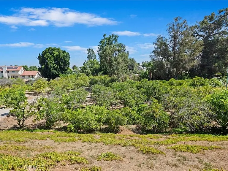 1507 Weston Way — Photo 53