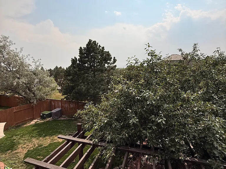 View from guest bedroom