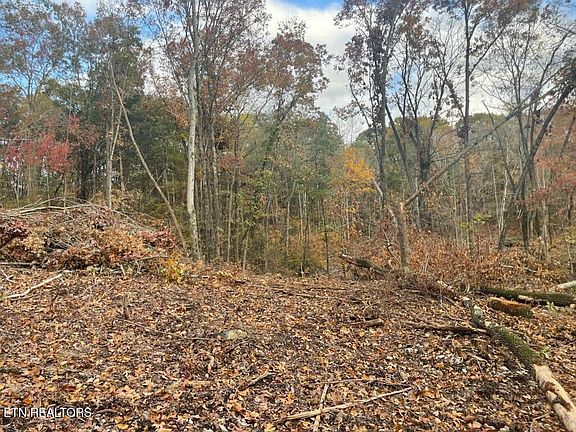 3rd image of 0 Cedar Grove Rd