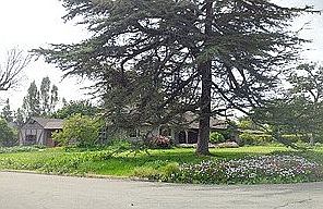 3rd image of 14614 Montevideo Dr