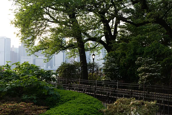 Rented by MNS | media 54