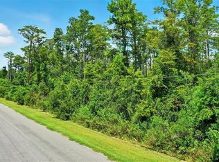 Paddock St LOT 664, Orlando, FL 32833