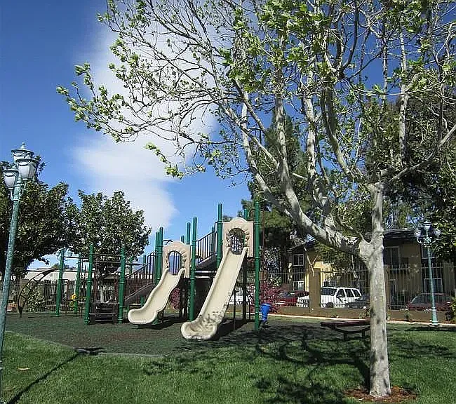 Bella Park — Photo 20