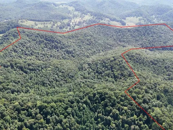 Wilsie Rd, Frametown, WV 26623