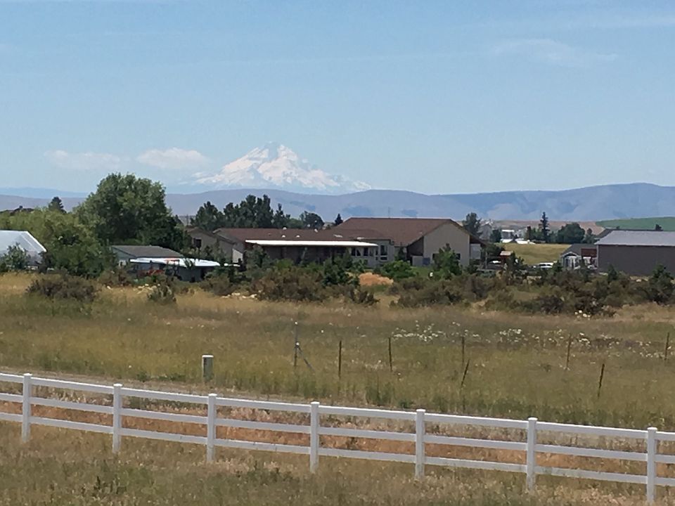 Mt. Hood View.