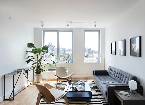 Rented by Two Trees | media 22