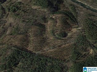 Cold Branch Rd, Blountsville, AL 35031