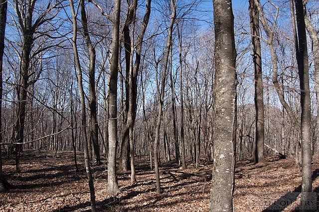 2nd image of Tbd Doe Ridge Drive