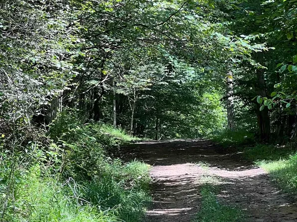 0 Hunt Farm Rd, Grafton, WV 26354