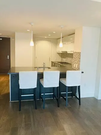 420 Mission Bay Blvd N #409 — Photo 9