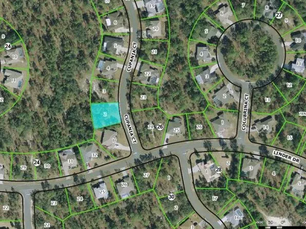 4 Cupania Ct, Homosassa, FL 34446