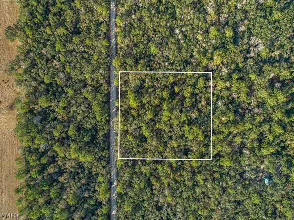 SE Wild Turkey Rd, Branford, FL 32008