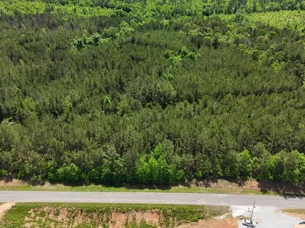LOT 2 County Road 40, Fruithurst, AL 36262