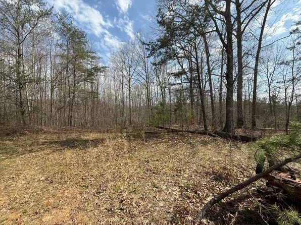 9999 Nineva Rd, London, KY 40741