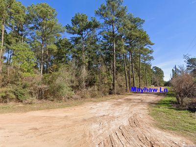 LOT 16 Mayhaw Ln LOT 16, Plantersville, TX, 77363