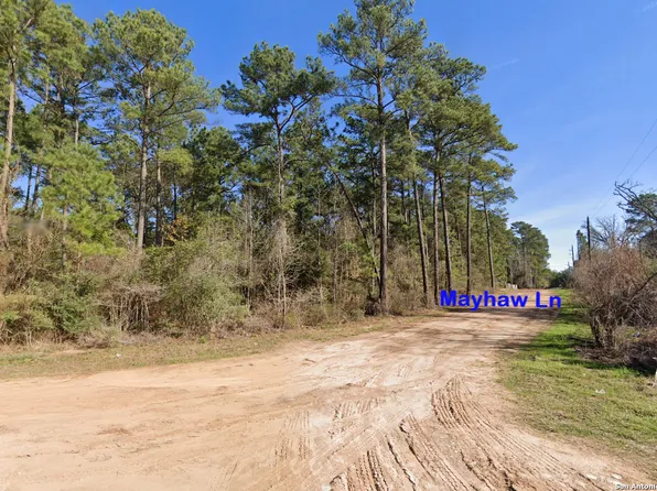 LOT 16 Mayhaw Ln LOT 16, Plantersville, TX 77363