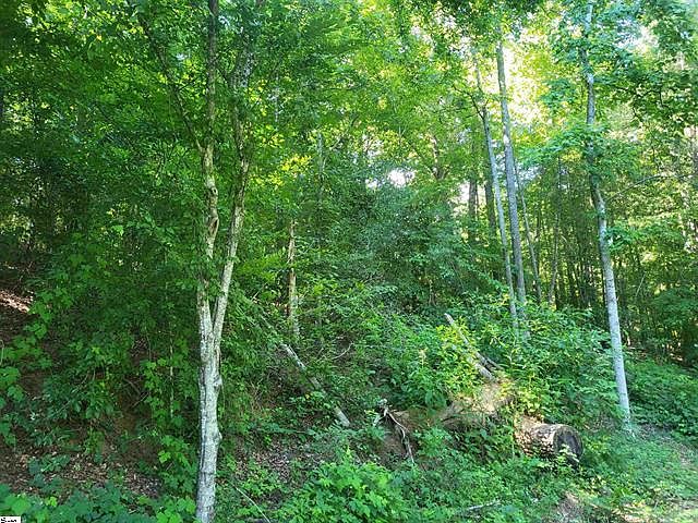 1st image of 0 Hidden Valley Rd