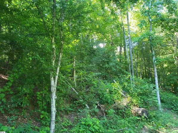 0 Hidden Valley Rd, Marietta, SC 29661