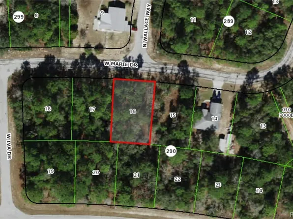 3130 W Marie Dr, Citrus Springs, FL 34433