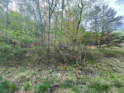 0 Wrenwood Dr, Tuscumbia, AL, 35674