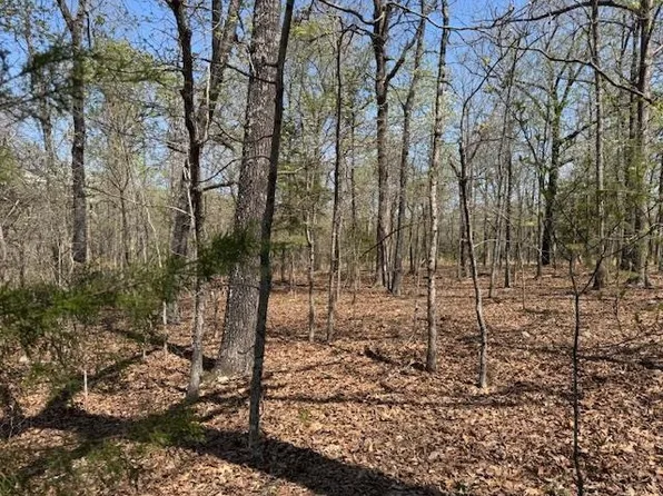 410 N Sequoia Dr, Horseshoe Bend, AR 72512