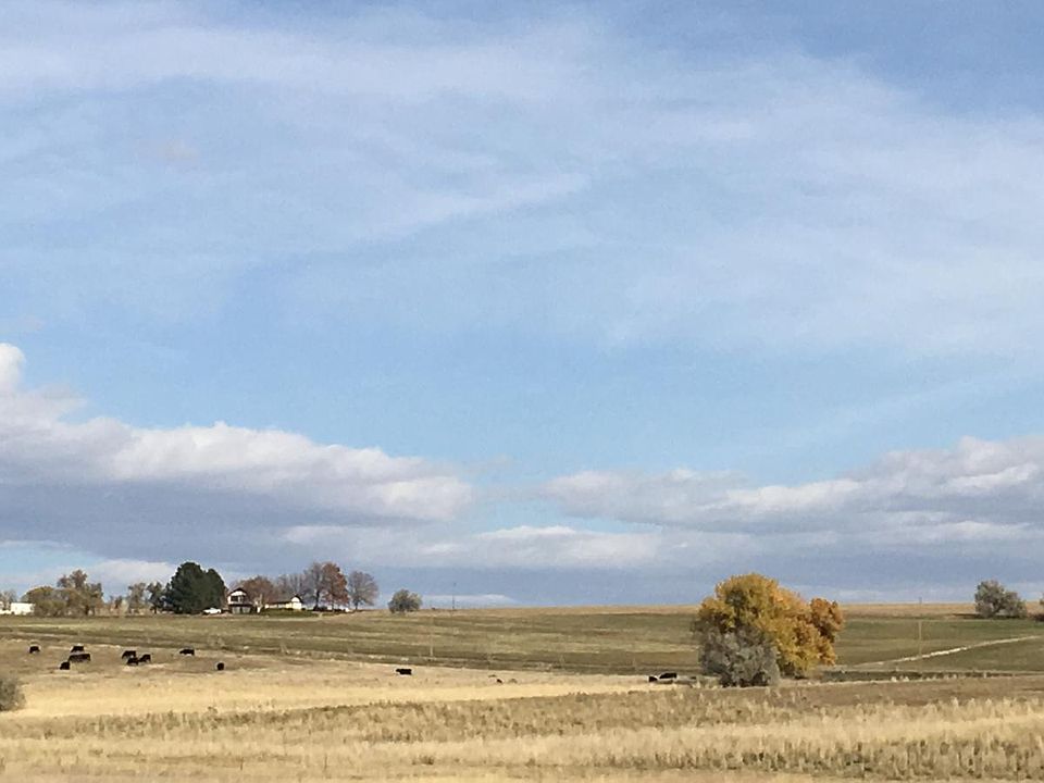 view from front porch