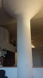 Rented by Masonic Realty