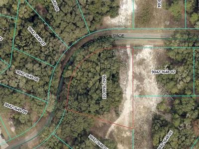 Magnolia Pass Trce Lot 3, Ocklawaha, FL, 32179