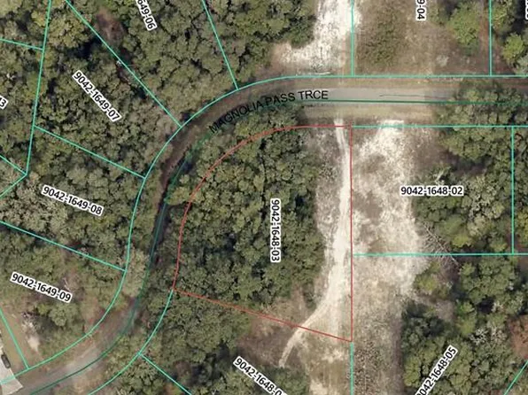 Magnolia Pass Trce Lot 3, Ocklawaha, FL 32179