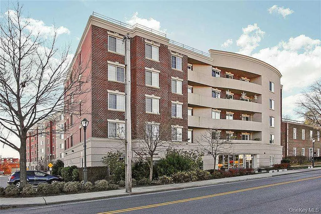 242 Maple Avenue #302 photo 1