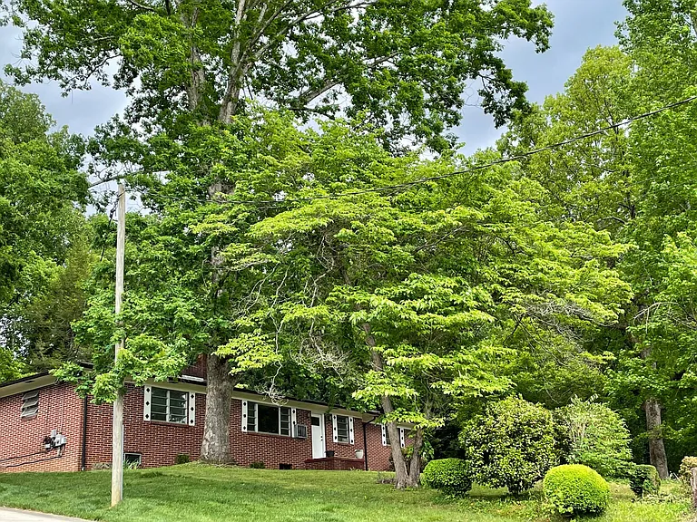 419 Wedgewood Pl SW — Photo 9