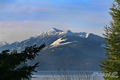 Olympic Mountain View