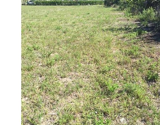 5th image of 2501 Surfside Blvd