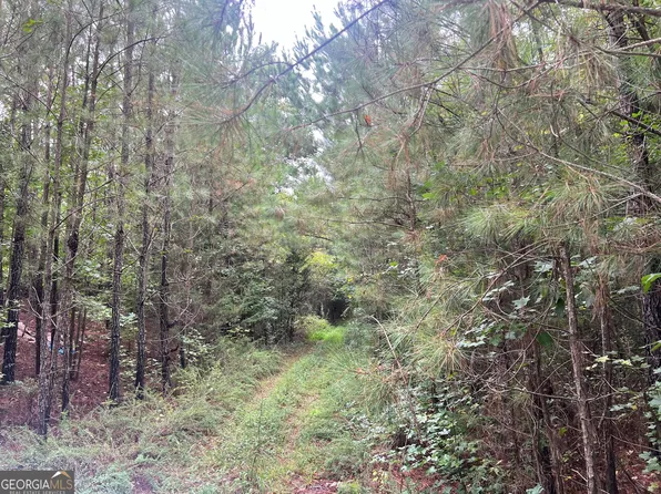 230 Dodgen Rd, Hampton, GA 30228