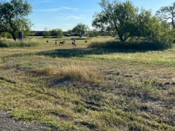 LOT 20 Nakishwana Cir #Viii, Sandia, TX 78383