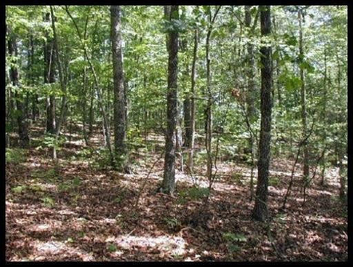 1st image of Old Hickory Ln