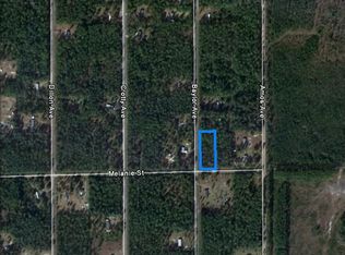 4020 Melanie St, Hastings, FL 32145