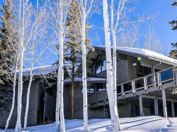 176 Eppley Dr, Aspen, CO 81611