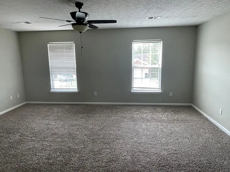 10618 Irvin Pines Dr — Photo 13