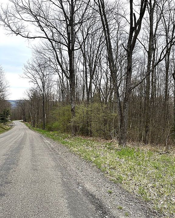 View of parcel from road