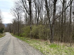 B-2 Dunn Rd, Pine Valley, NY 14872